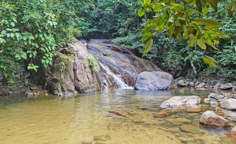 mythaidesntiny_elephants_khao_lak_water_fall2