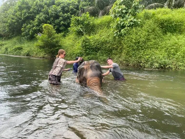 Khao_sok_Elephant_Park-02