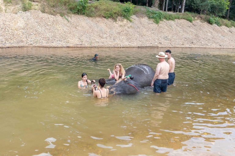 mythaidestiny_Khao_sok_Elephant_Bathing_1