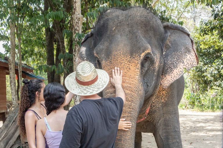 mythaidestiny_Khao_sok_Elephant_Bathing_7