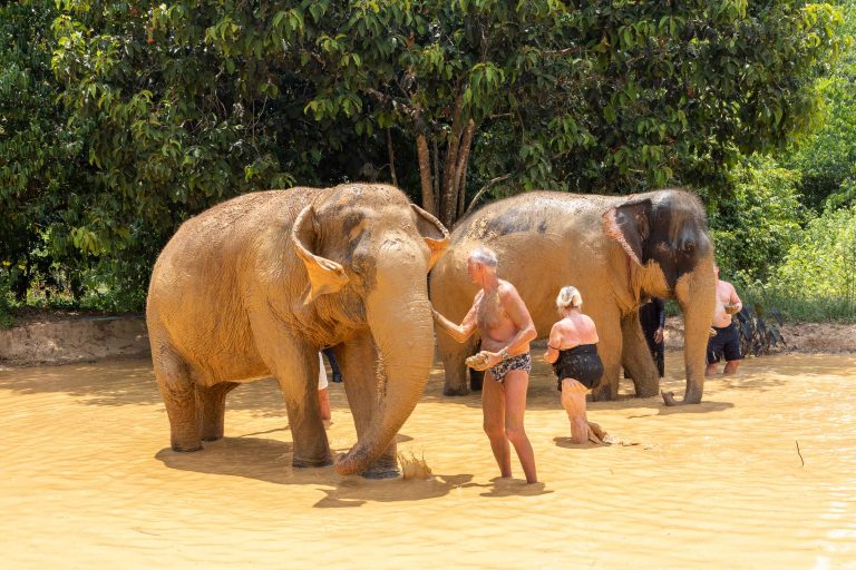 mythaidestiny_Khao_sok_Elephant_mud spa_1