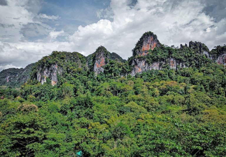 mythiadestiny-khao-sok-tree-house-01