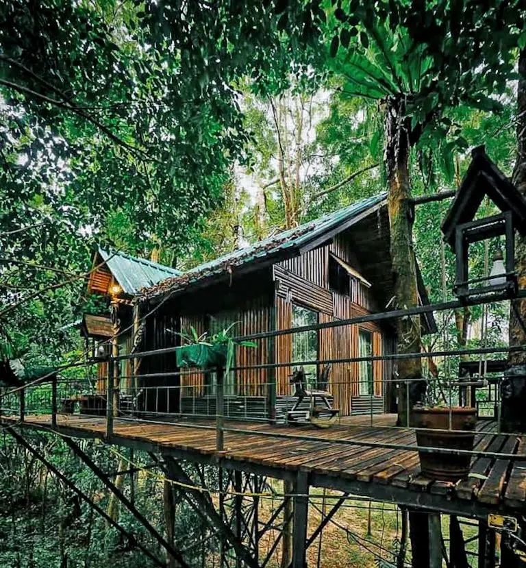 mythiadestiny-khao-sok-tree-house-02