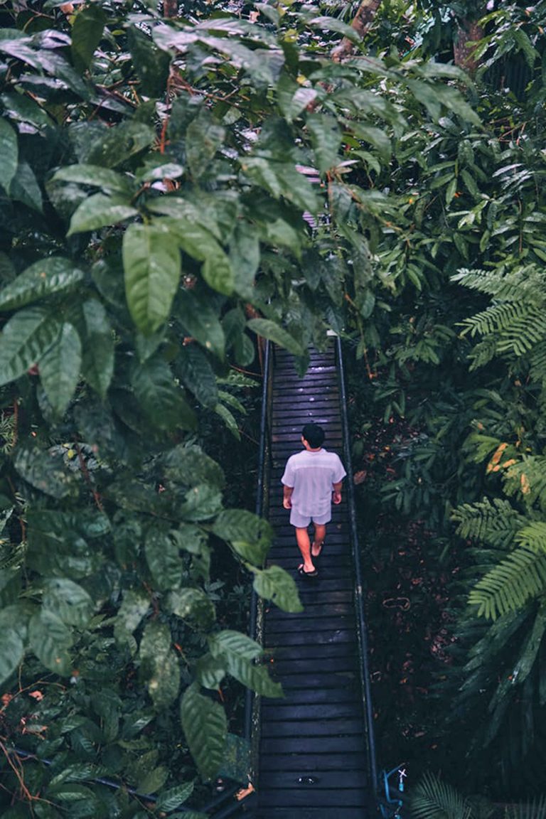 mythiadestiny-khao-sok-tree-house-04